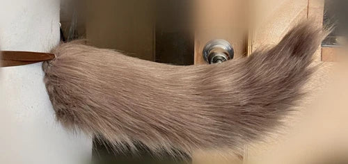 48327045349711|48327045382479